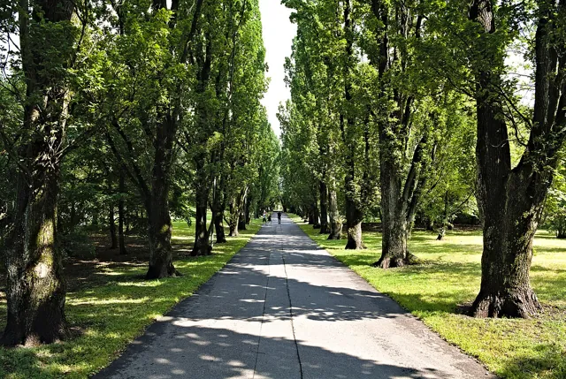 University of Oslo — widok 5