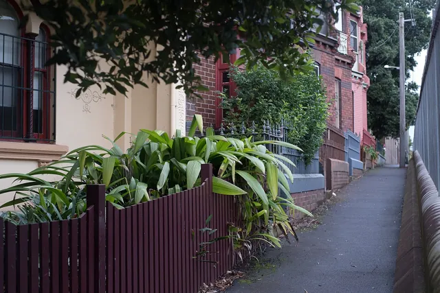 University of Sydney — widok 5
