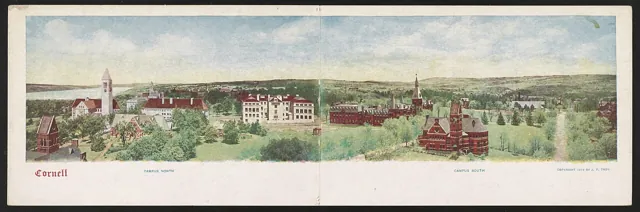 Cornell University — widok 4
