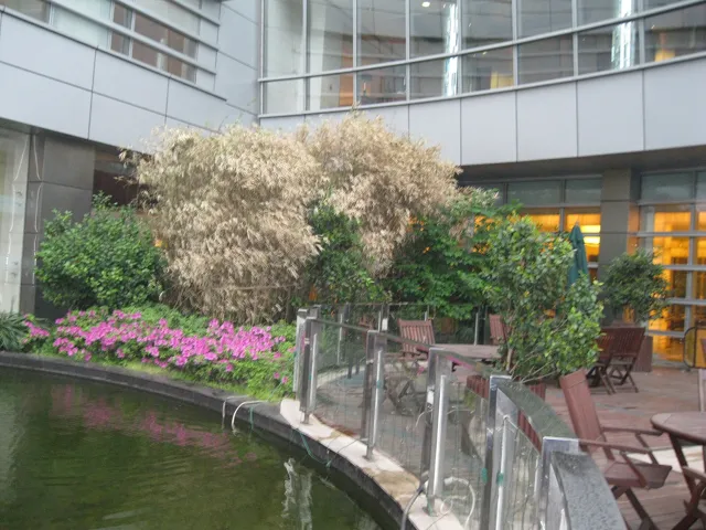 Fudan University — widok 5