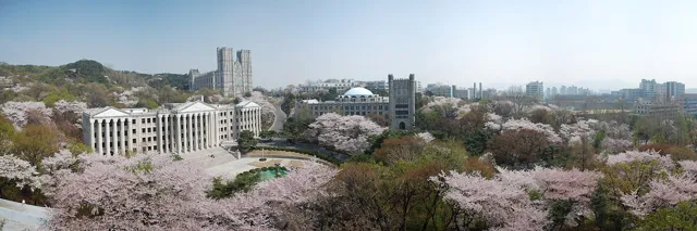 Kyung Hee University — widok 3