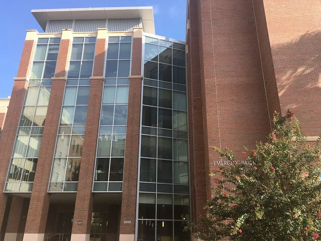 University of Florida — widok 2