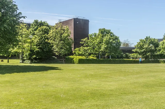 University of Limerick — widok 5