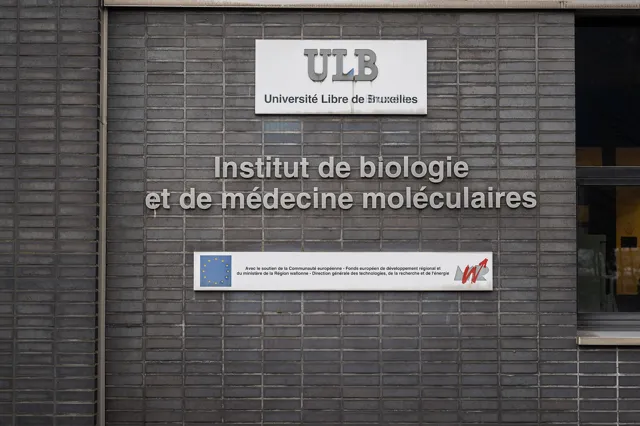 Université libre de Bruxelles — widok 2