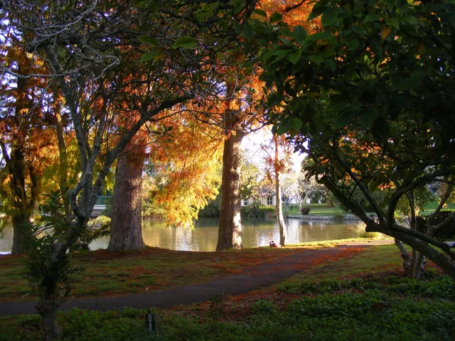 University of Waikato — widok 5