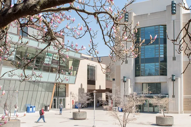 McMaster University — widok 4