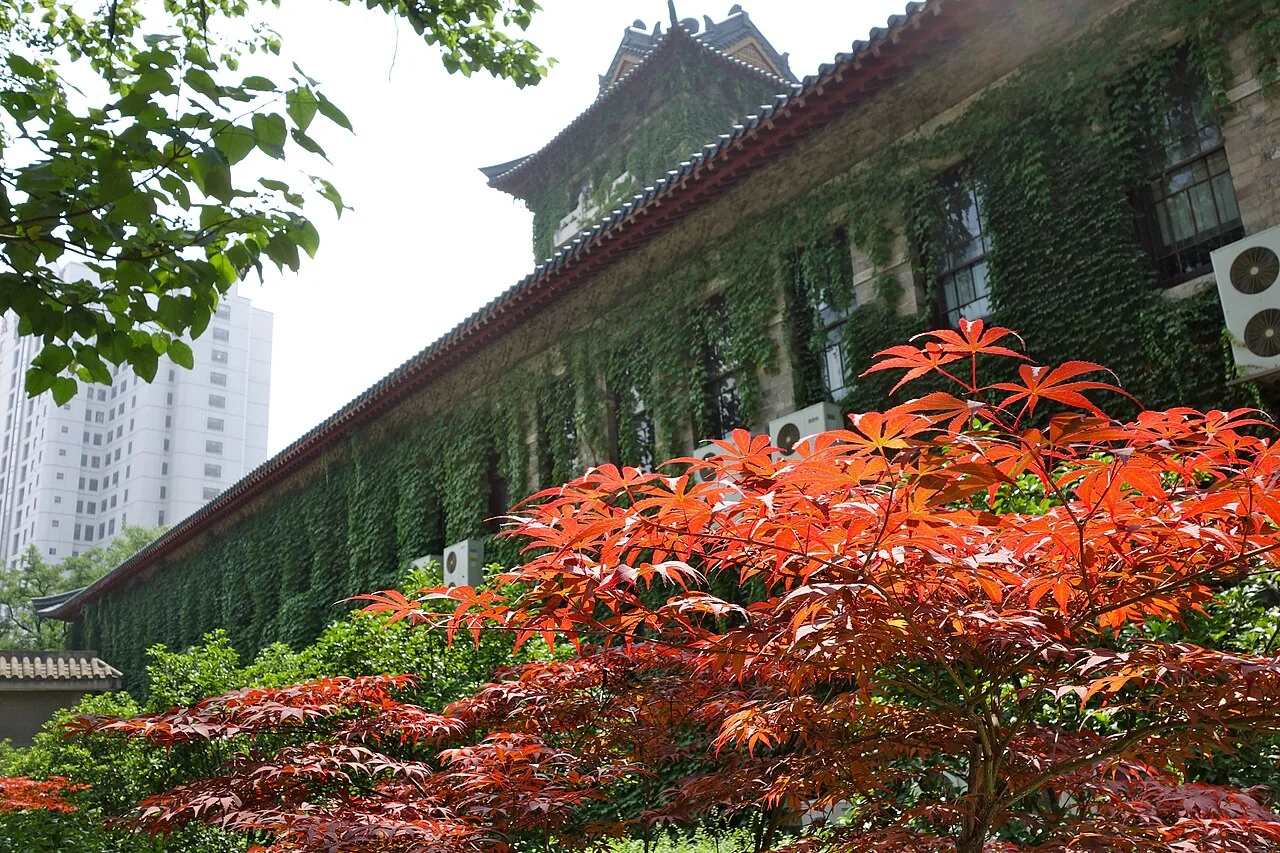 Nanjing University — kampus