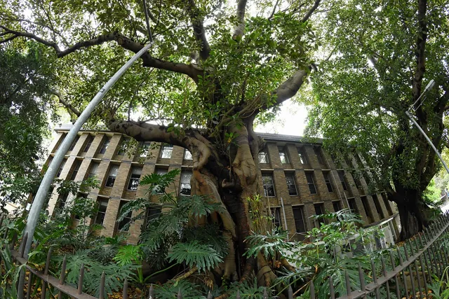 University of New South Wales — widok 4