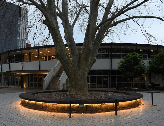 University of New South Wales — widok 5
