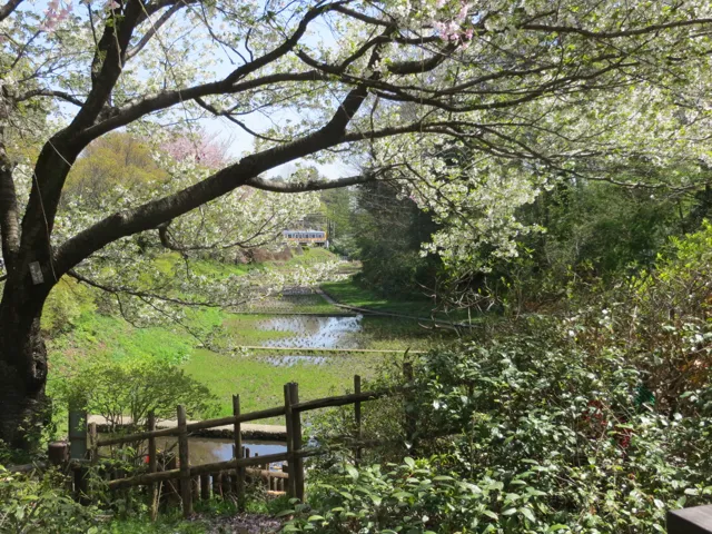 Uniwersytet Tsukuba — widok 2