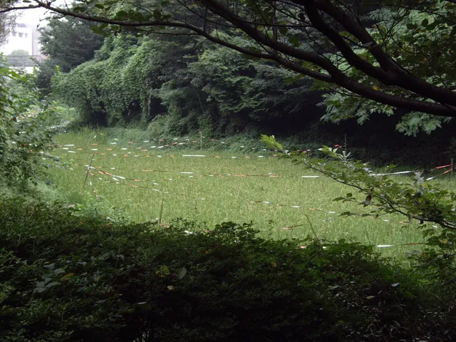 Uniwersytet Tsukuba — widok 3
