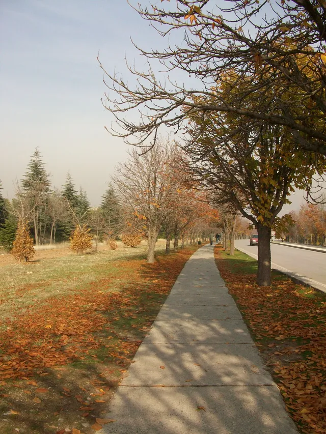 Middle East Technical University (METU) — widok 2