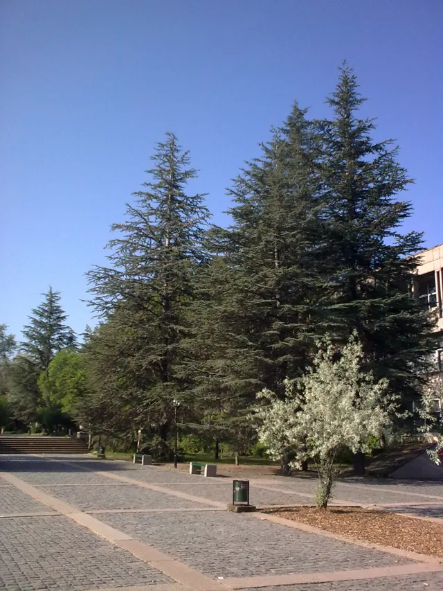 Middle East Technical University (METU) — widok 3