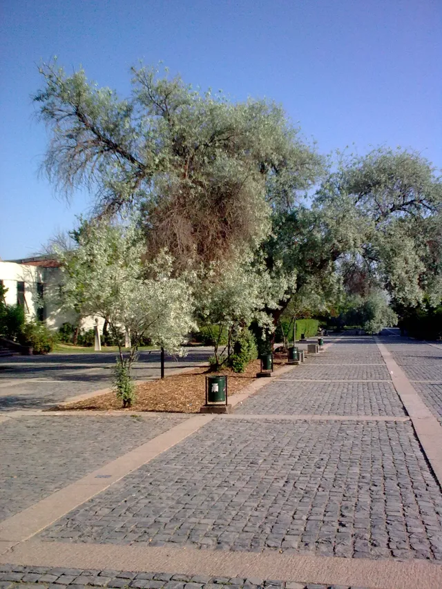 Middle East Technical University (METU) — widok 5