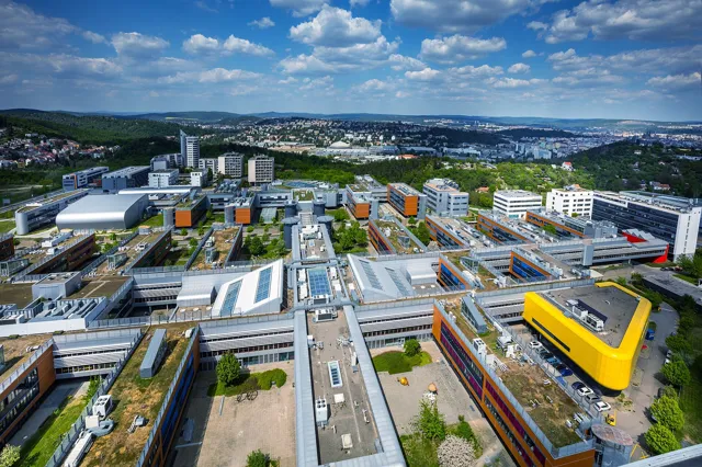 Masaryk University — widok 4