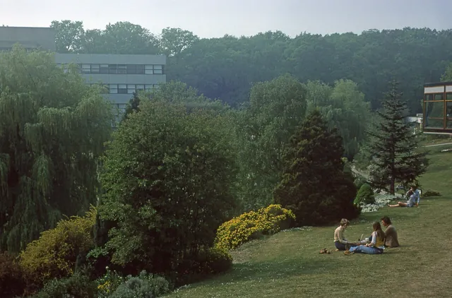 University of Southampton — widok 3