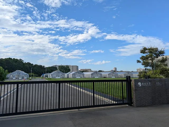 University of Tokyo — widok 3