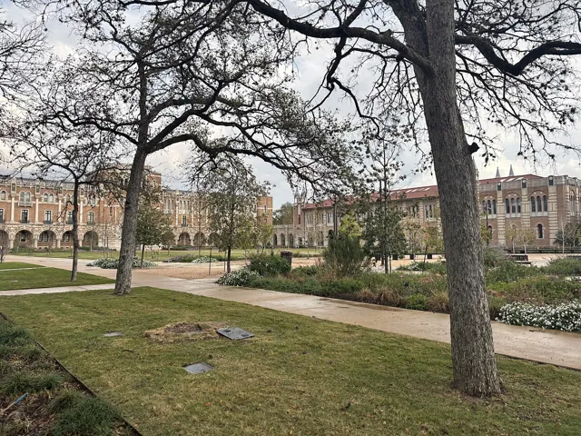 Rice University — widok 5
