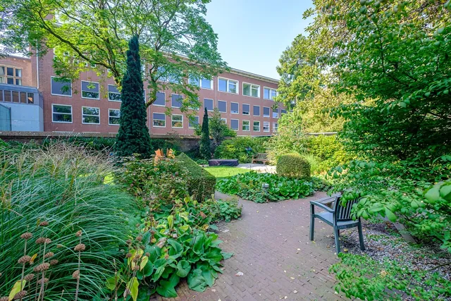 University of Groningen — widok 2