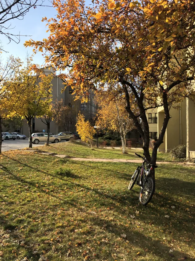 Bilkent University — widok 5