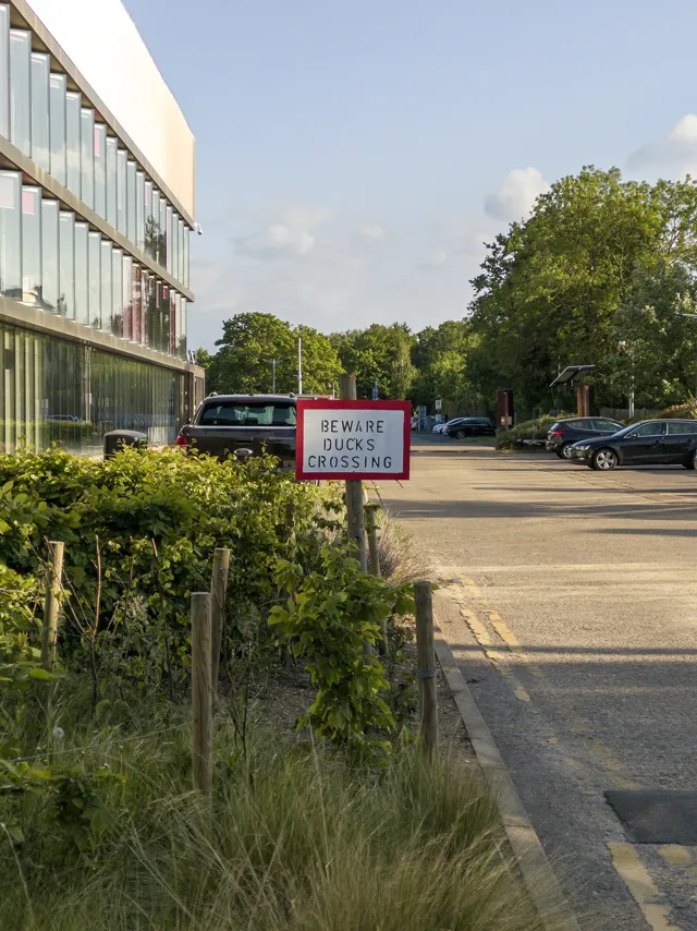 Brunel University of London — widok 3