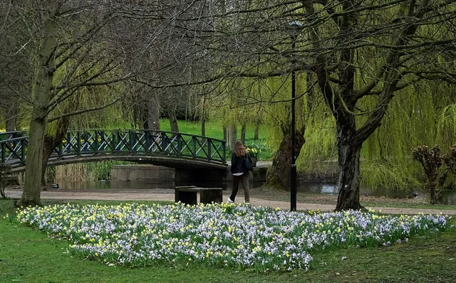University of York — widok 3